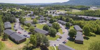 Allandale Falls Gallery 7