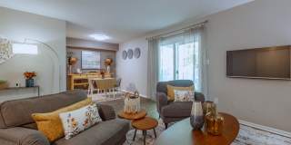 Woodbridge Gallery 11