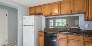 8334 WIND FALL Road Gallery 7