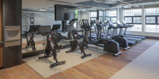 Rye House Gallery 22