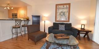 Charming Furnished Studio with Large Patio in the Heart of Las Vegas Gallery 1