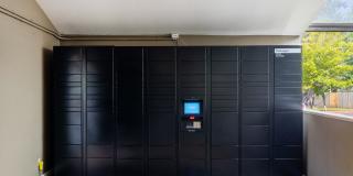 Ansley Murrayhill Gallery 25