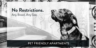 Como Lakes Apartments Gallery 6