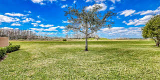 802 Sabal Palm Lane Gallery 22