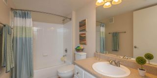 Grove at SouthShore Gallery 41