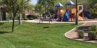 Exquisite Chandler 4 bed 3 bath home with Community Pool!! Gallery 15