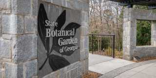 175 Habersham Way -  Available May 2026! Gallery 11