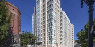 The Gossamer Gallery 25