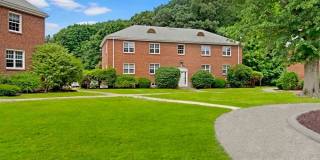 ReNew Waltham Gallery 25