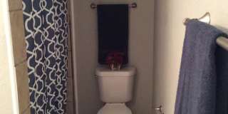 GREAT COLLEGE PROPERTY--PRE-LEASING FOR AUGUST! Completely Updated! 3 bedroom/2 bath Close to TTU & LCU and Medical District GREAT COLLEGE PROPERTY--PRE-LEASING FOR AUGUST! Completely Updated! 3 bedroom/2 bath Close to TTU & LCU and Medical District Gallery 15