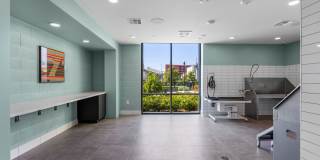 The Emery Gallery 19