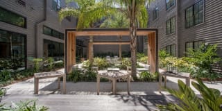 Paramount at South Market District Gallery 4