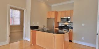 The Gatsby Gallery 1