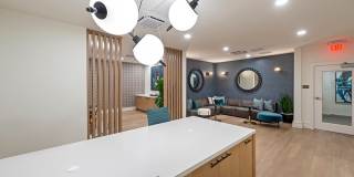 Altura at the Groves Gallery 12