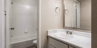 Rise on Cactus Gallery 106