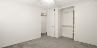 833 Cinnamon Gallery 18