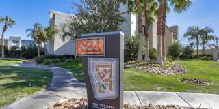 4200 Paradise Gallery 18