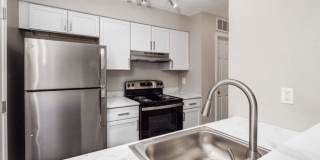 The Berryessa Gallery 1