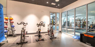 Cornell Midtown Cornell Midtown Gallery 24