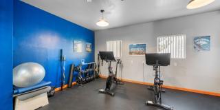 Bristle Pointe Gallery 30