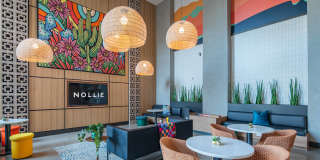 Nollie Gallery 10