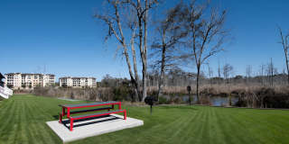 Mandarin Bay Gallery 25