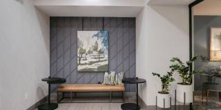 The Briscoe River Oaks Gallery 13