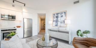 Collection 14 Gallery 5