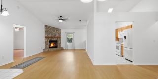 341 Shamrock Rd Gallery 16