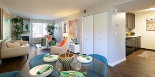 Waterscape Gallery 37