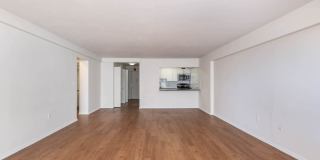 Emerson Place Gallery 10