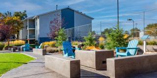 Brighton Place Gallery 5