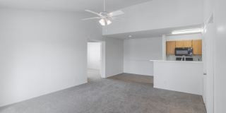 Audubon Park Gallery 13