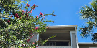 1600 Long Grove Drive 1600 Long Grove Drive Gallery 1