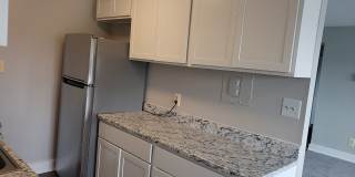 Swift at Riverdale Park Gallery 6