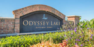 Odyssey Lake Apartments Gallery 2