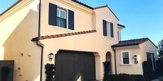 123 Stallion Gallery 1