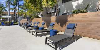 Terra Camarillo Gallery 17