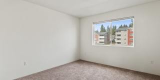 River View Collection Gallery 39