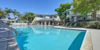 The Tradition Gallery 15