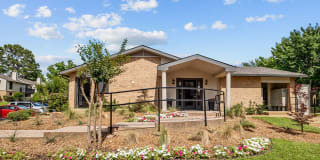 The Ashton Apartments Gallery 1