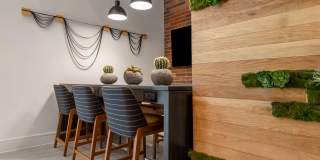 Troubadour Gallery 151