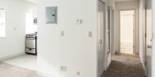 Alexander Gallery 15