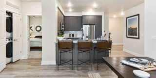 Reflect at Dobson Ranch Gallery 7