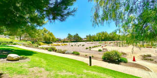 Beautiful Single-Level Custom Home with Serene Backyard Space in the Lovely Peppertree Park Community of Fallbrook! Gallery 75