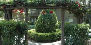 The Aspen South Coast Gallery 42