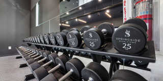 Springside Middletown Gallery 34