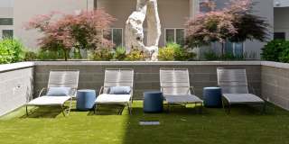 Novi at Concord Gallery 43
