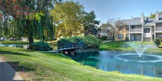 Brookdale on the Park Gallery 10