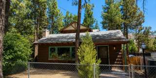Cute Cabin in Big Bear City Gallery 1